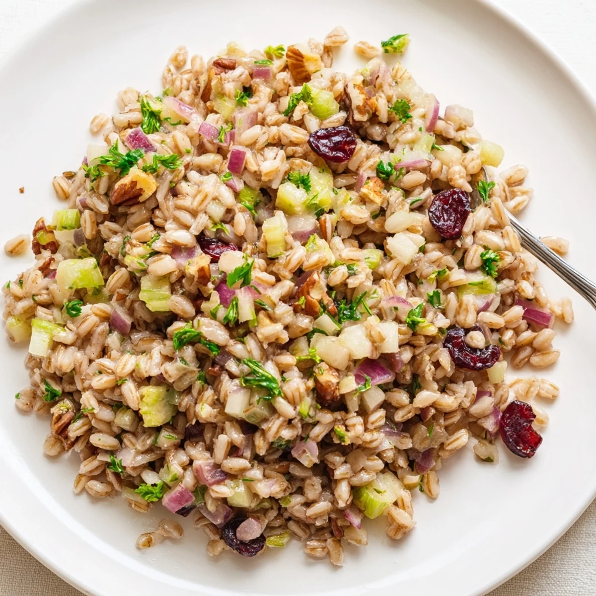 Bright Cranberry Farro side dish with chewy grains, tart cranberries, and a drizzled vinaigrette on a rustic table.